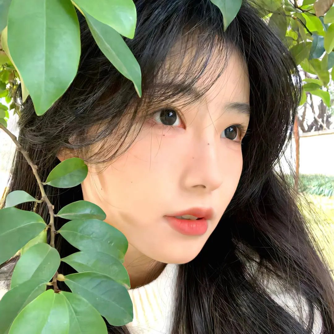 二姊妹的情人海报